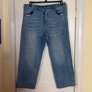 Universal Standard Light Blue Relaxed Jeans